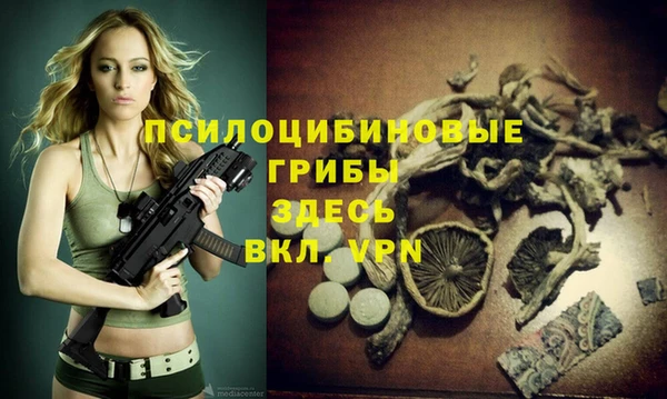 дмт Алексин