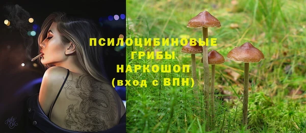 гашишное масло Алексеевка