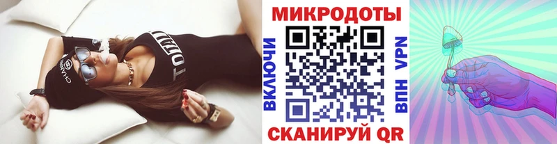 Псилоцибиновые грибы Cubensis Сясьстрой